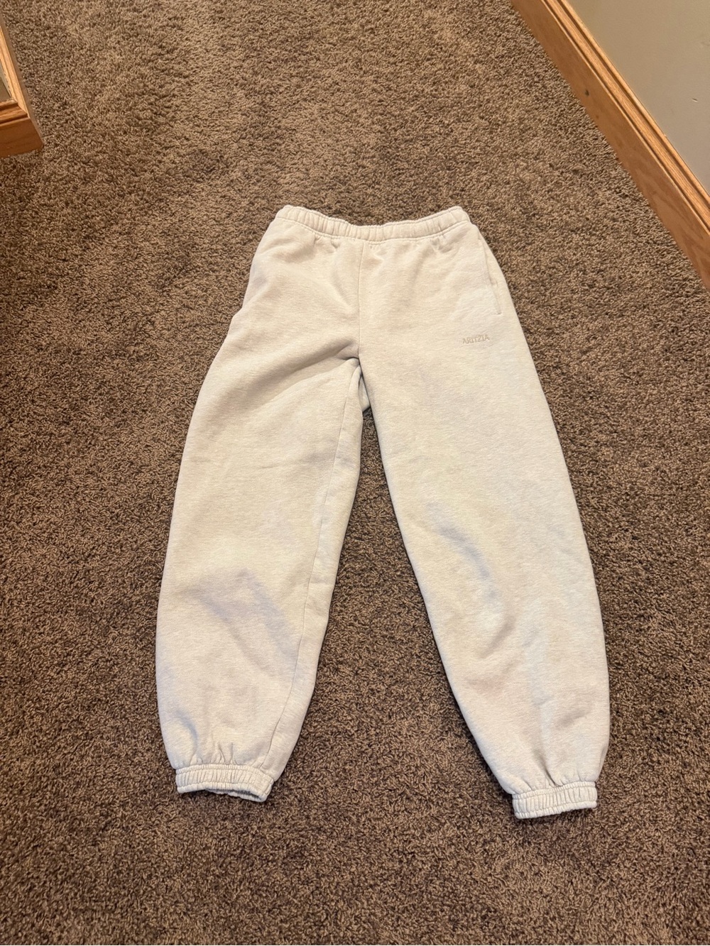 Aritzia Cozy Fleece Sweatpants